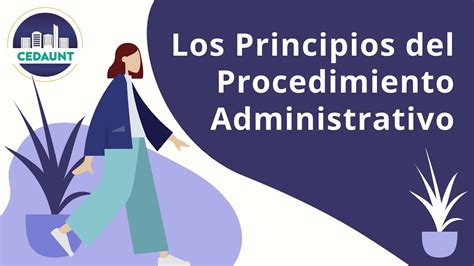 principios administrativos-4